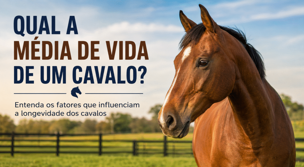 Qual a Media de Vida de um Cavalo